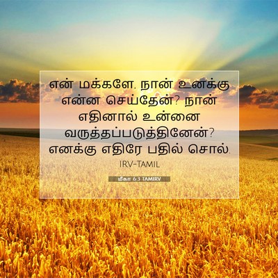Picture 07 - மீகா 6:3 TAMIRV - என் மக்களே, நான் - Bible Verse Picture