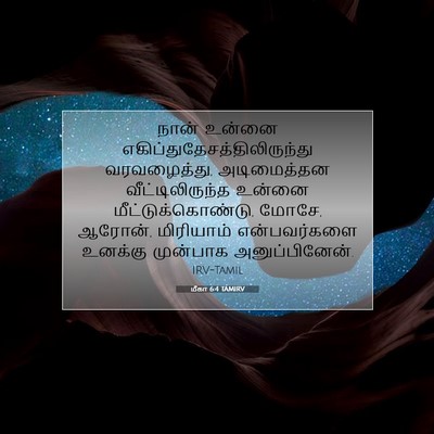 Picture 07 - மீகா 6:4 TAMIRV - நான் உன்னை - Bible Verse Picture