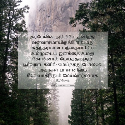 Picture 07 - மீகா 7:14 TAMIRV - கர்மேலின் நடுவிலே - Bible Verse Picture