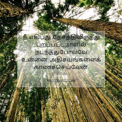 Picture 07 - மீகா 7:15 TAMIRV - நீ எகிப்து - Bible Verse Picture