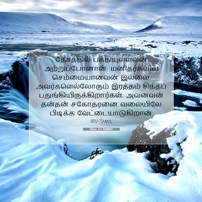 Picture 07 - மீகா 7:2 TAMIRV - தேசத்தில் - Bible Verse Picture