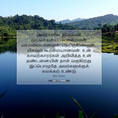 Picture 07 - மீகா 7:4 TAMIRV - அவர்களில் நல்லவன் - Bible Verse Picture