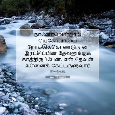 Picture 07 - மீகா 7:7 TAMIRV - நானோவென்றால் - Bible Verse Picture