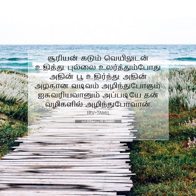Picture 07 - யாக்கோபு 1:11 TAMIRV - சூரியன் கடும் - Bible Verse Picture