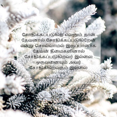Picture 07 - யாக்கோபு 1:13 TAMIRV - சோதிக்கப்படுகிற - Bible Verse Picture