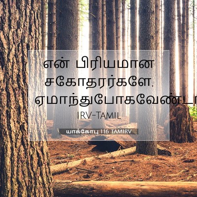 Picture 07 - யாக்கோபு 1:16 TAMIRV - என் பிரியமான - Bible Verse Picture