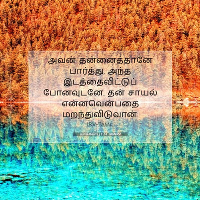 Picture 07 - யாக்கோபு 1:24 TAMIRV - அவன் தன்னைத்தானே - Bible Verse Picture