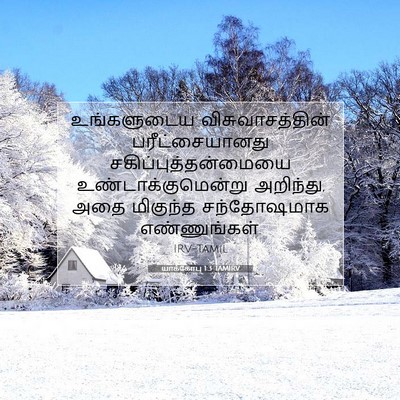 Picture 07 - யாக்கோபு 1:3 TAMIRV - உங்களுடைய - Bible Verse Picture