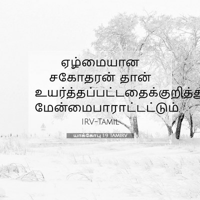 Picture 07 - யாக்கோபு 1:9 TAMIRV - ஏழ்மையான சகோதரன் - Bible Verse Picture