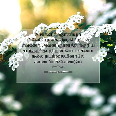 Picture 07 - யாக்கோபு 3:13 TAMIRV - உங்களில் ஞானியும் - Bible Verse Picture