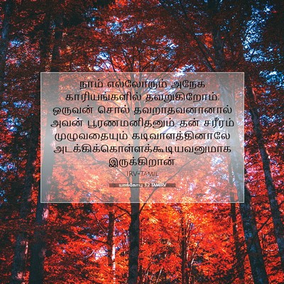 Picture 07 - யாக்கோபு 3:2 TAMIRV - நாம் எல்லோரும் - Bible Verse Picture