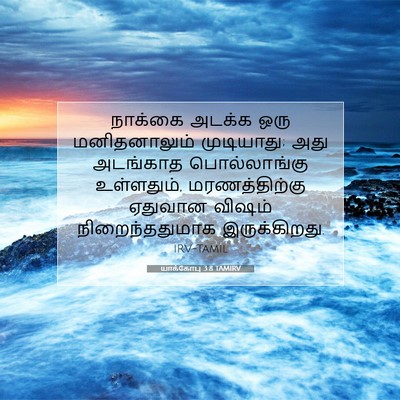 Picture 07 - யாக்கோபு 3:8 TAMIRV - நாக்கை அடக்க ஒரு - Bible Verse Picture