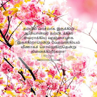 Picture 07 - யாக்கோபு 4:5 TAMIRV - நம்மில் வாசமாக - Bible Verse Picture