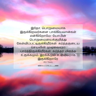 Picture 07 - யாக்கோபு 5:11 TAMIRV - இதோ, பொறுமையாக - Bible Verse Picture