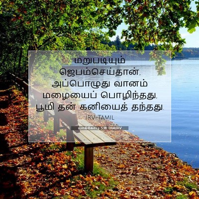 Picture 07 - யாக்கோபு 5:18 TAMIRV - மறுபடியும் - Bible Verse Picture
