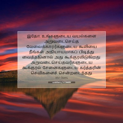 Picture 07 - யாக்கோபு 5:4 TAMIRV - இதோ, உங்களுடைய - Bible Verse Picture