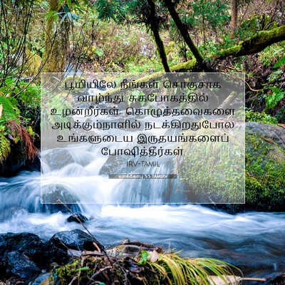 Picture 07 - யாக்கோபு 5:5 TAMIRV - பூமியிலே நீங்கள் - Bible Verse Picture