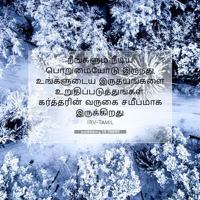 Picture 07 - யாக்கோபு 5:8 TAMIRV - நீங்களும் நீடிய - Bible Verse Picture