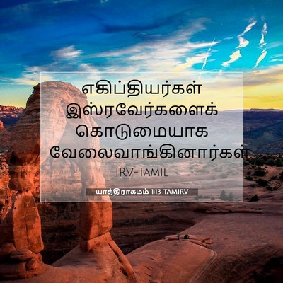 Picture 07 - யாத்திராகமம் 1:13 TAMIRV - எகிப்தியர்கள் - Bible Verse Picture