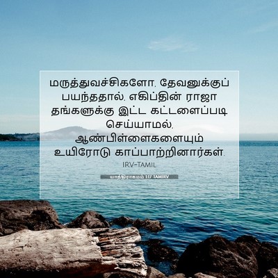 Picture 07 - யாத்திராகமம் 1:17 TAMIRV - மருத்துவச்சிகளோ, - Bible Verse Picture
