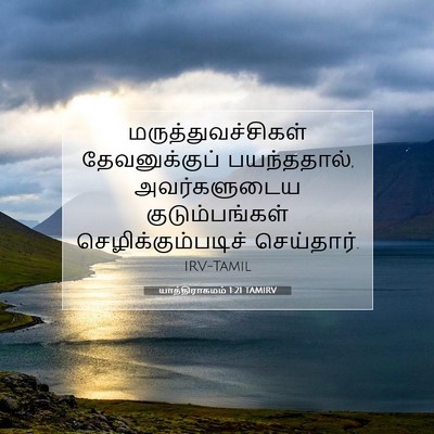 Picture 07 - யாத்திராகமம் 1:21 TAMIRV - மருத்துவச்சிகள் - Bible Verse Picture