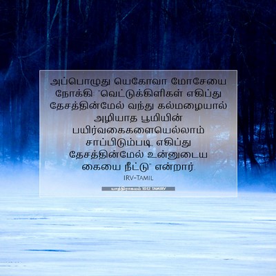 Picture 07 - யாத்திராகமம் 10:12 TAMIRV - அப்பொழுது யெகோவா - Bible Verse Picture