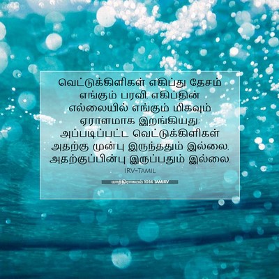 Picture 07 - யாத்திராகமம் 10:14 TAMIRV - வெட்டுக்கிளிகள் - Bible Verse Picture