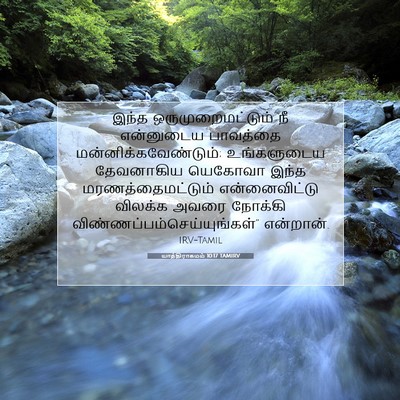 Picture 07 - யாத்திராகமம் 10:17 TAMIRV - இந்த - Bible Verse Picture