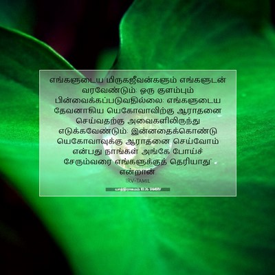 Picture 07 - யாத்திராகமம் 10:26 TAMIRV - எங்களுடைய - Bible Verse Picture
