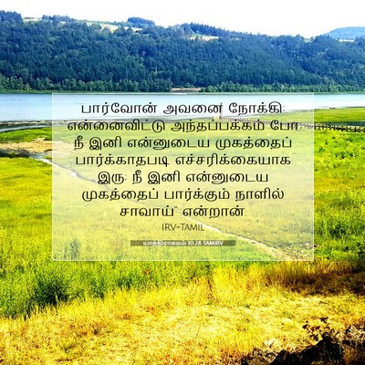Picture 07 - யாத்திராகமம் 10:28 TAMIRV - பார்வோன் அவனை - Bible Verse Picture