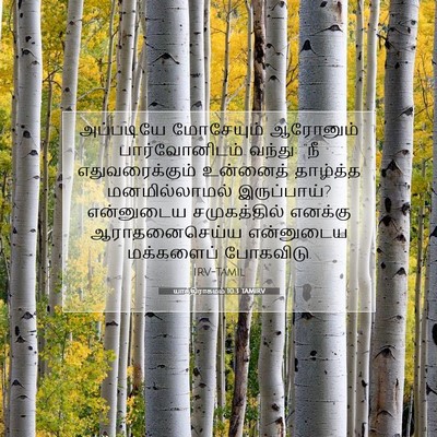 Picture 07 - யாத்திராகமம் 10:3 TAMIRV - அப்படியே மோசேயும் - Bible Verse Picture