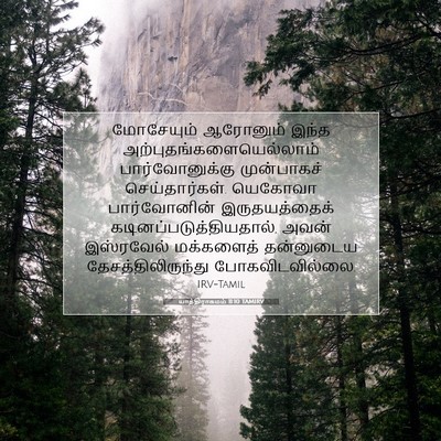 Picture 07 - யாத்திராகமம் 11:10 TAMIRV - மோசேயும் ஆரோனும் - Bible Verse Picture