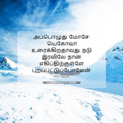 Picture 07 - யாத்திராகமம் 11:4 TAMIRV - அப்பொழுது மோசே: - Bible Verse Picture