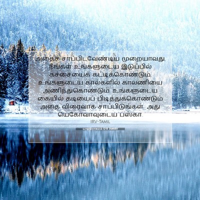 Picture 07 - யாத்திராகமம் 12:11 TAMIRV - அதைச் - Bible Verse Picture