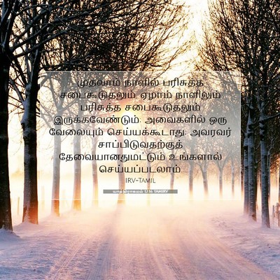 Picture 07 - யாத்திராகமம் 12:16 TAMIRV - முதலாம் நாளில் - Bible Verse Picture