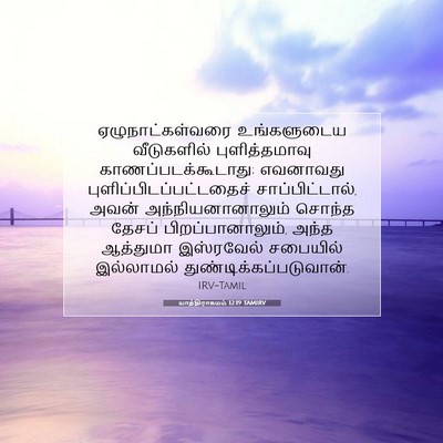 Picture 07 - யாத்திராகமம் 12:19 TAMIRV - ஏழுநாட்கள்வரை - Bible Verse Picture
