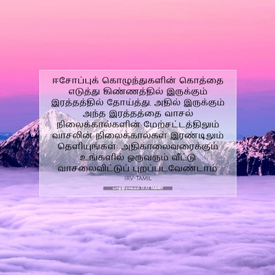 Picture 07 - யாத்திராகமம் 12:22 TAMIRV - ஈசோப்புக் - Bible Verse Picture