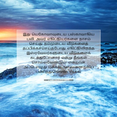 Picture 07 - யாத்திராகமம் 12:27 TAMIRV - இது யெகோவாவுடைய - Bible Verse Picture