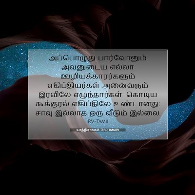 Picture 07 - யாத்திராகமம் 12:30 TAMIRV - அப்பொழுது - Bible Verse Picture