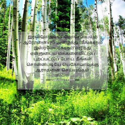 Picture 07 - யாத்திராகமம் 12:31 TAMIRV - இரவிலே அவன் - Bible Verse Picture