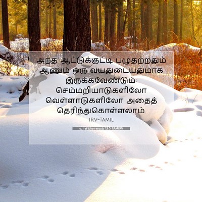 Picture 07 - யாத்திராகமம் 12:5 TAMIRV - அந்த - Bible Verse Picture