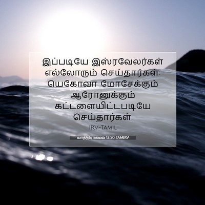 Picture 07 - யாத்திராகமம் 12:50 TAMIRV - இப்படியே - Bible Verse Picture