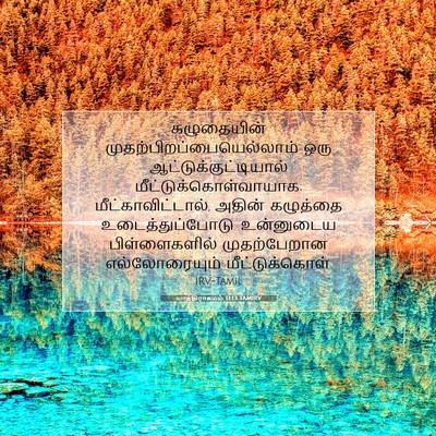 Picture 07 - யாத்திராகமம் 13:13 TAMIRV - கழுதையின் - Bible Verse Picture