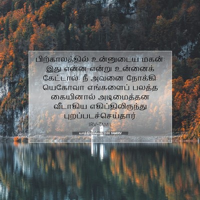 Picture 07 - யாத்திராகமம் 13:14 TAMIRV - பிற்காலத்தில் - Bible Verse Picture