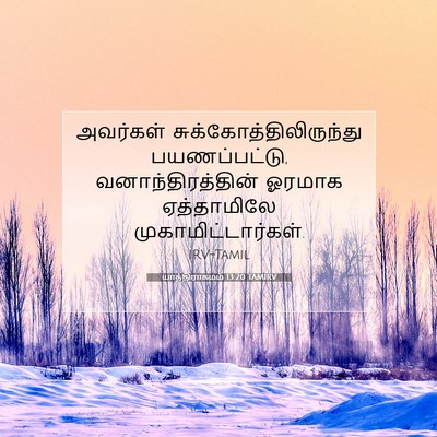 Picture 07 - யாத்திராகமம் 13:20 TAMIRV - அவர்கள் - Bible Verse Picture