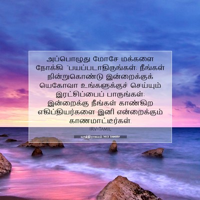 Picture 07 - யாத்திராகமம் 14:13 TAMIRV - அப்பொழுது மோசே - Bible Verse Picture