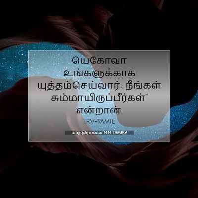 Picture 07 - யாத்திராகமம் 14:14 TAMIRV - யெகோவா - Bible Verse Picture