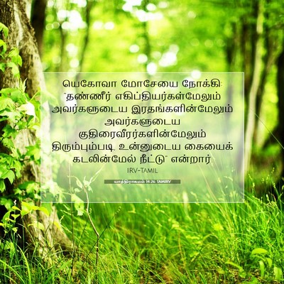 Picture 07 - யாத்திராகமம் 14:26 TAMIRV - யெகோவா மோசேயை - Bible Verse Picture