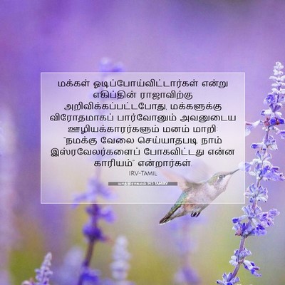 Picture 07 - யாத்திராகமம் 14:5 TAMIRV - மக்கள் - Bible Verse Picture