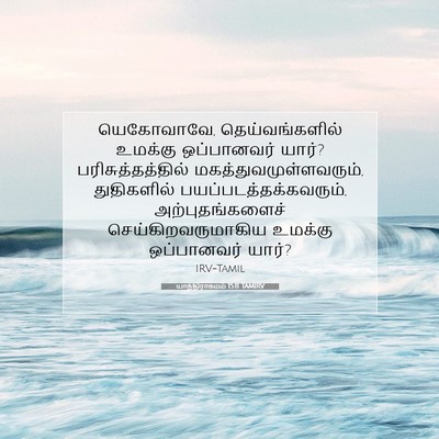 Picture 07 - யாத்திராகமம் 15:11 TAMIRV - யெகோவாவே, - Bible Verse Picture